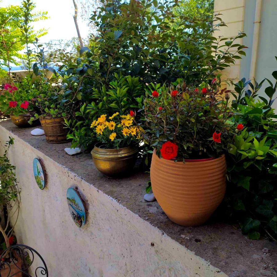 Casa Di Rosi, Seaview Studio In Corfu Town Esterno foto